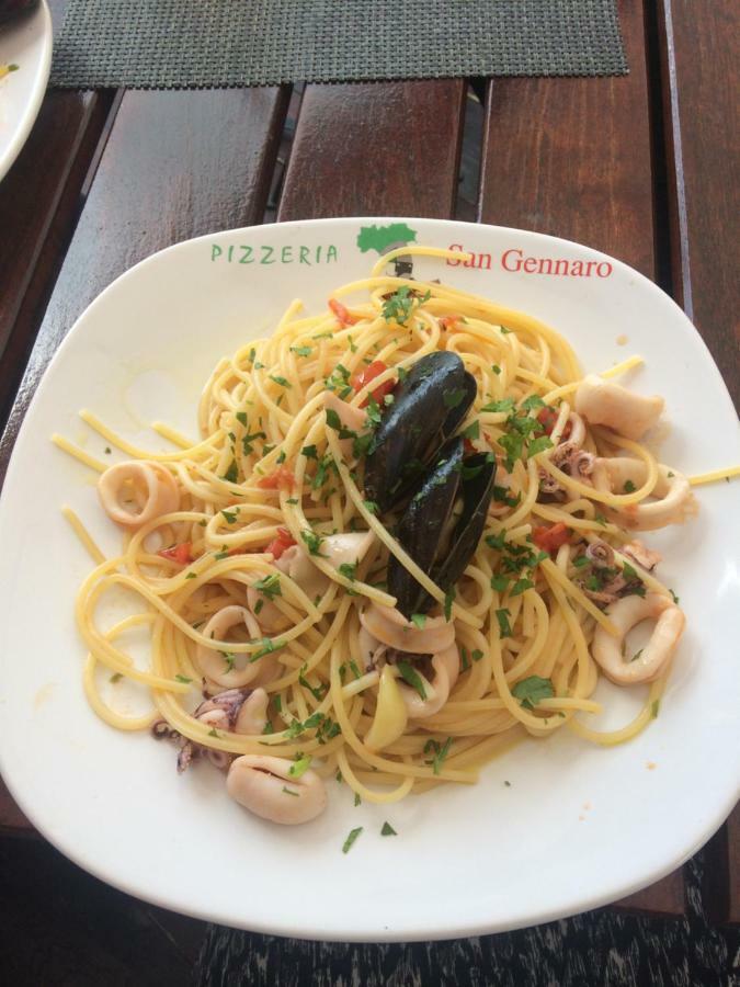 Pensiunea San Gennaro 密古雷休治 外观 照片